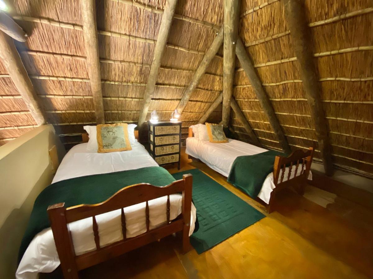 Parkview Safari Lodge Colchester Buitenkant foto