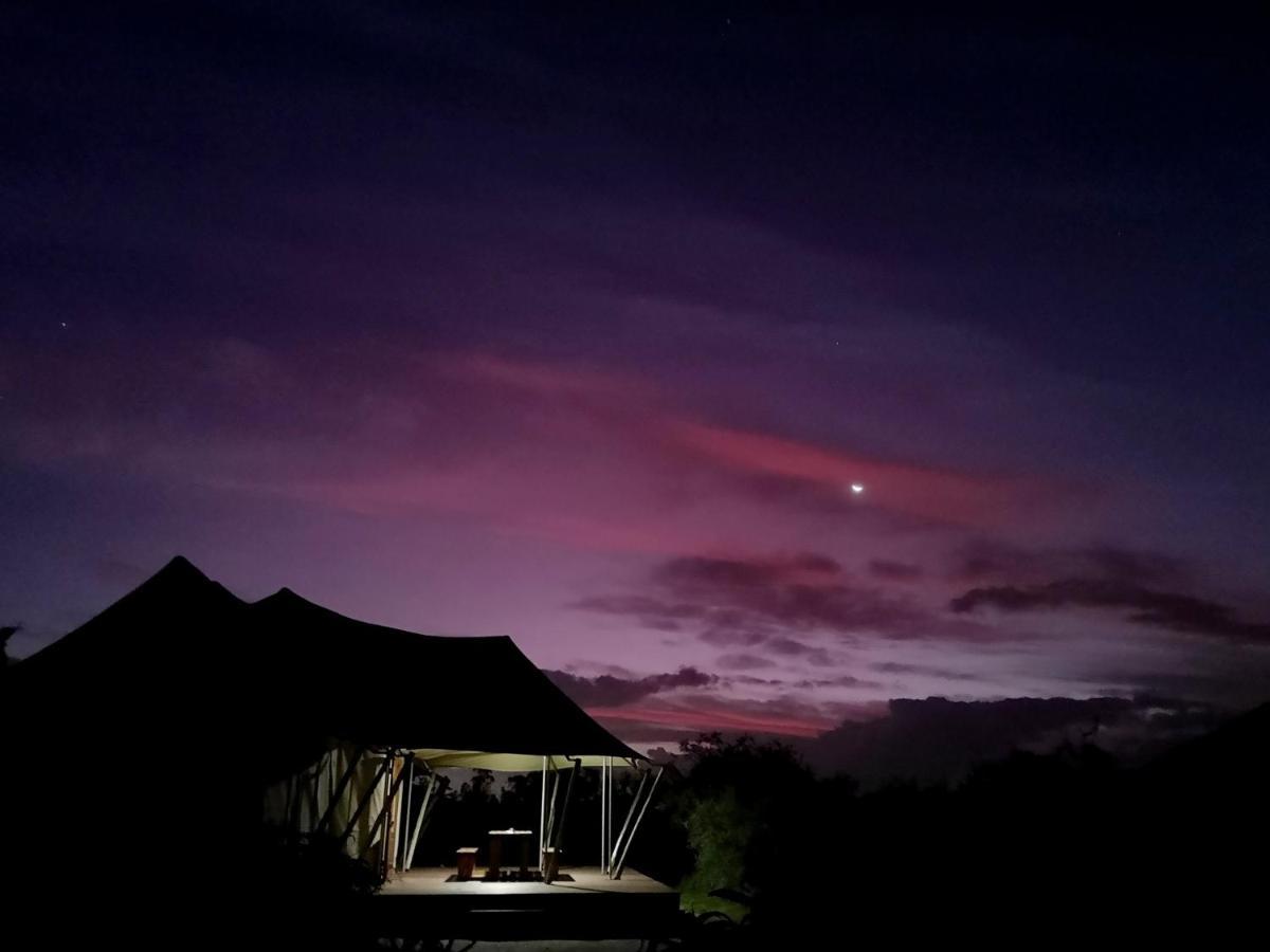 Parkview Safari Lodge Colchester Buitenkant foto