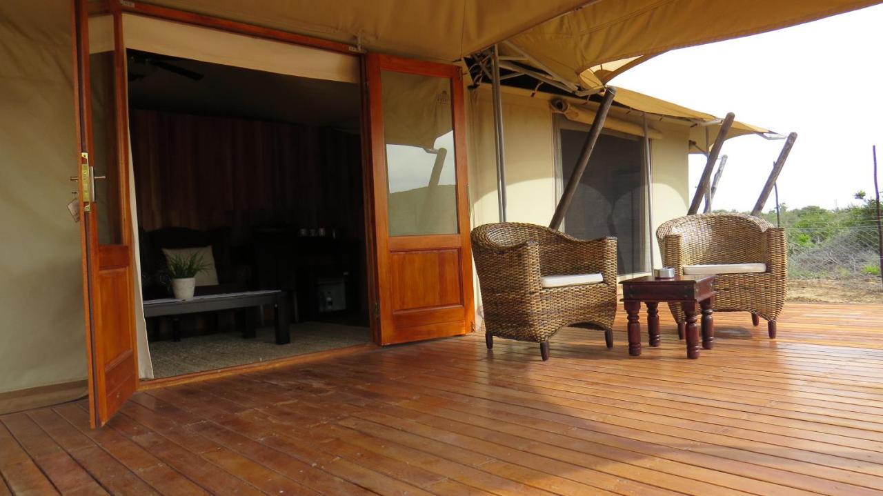 Parkview Safari Lodge Colchester Buitenkant foto